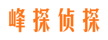 临沂市场调查